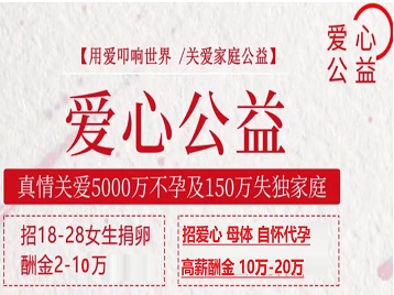 台儿庄捐卵助孕生子 爱心志愿者招募